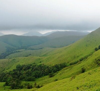Indias Green Cover Sequesters More Carbon Than Emissions