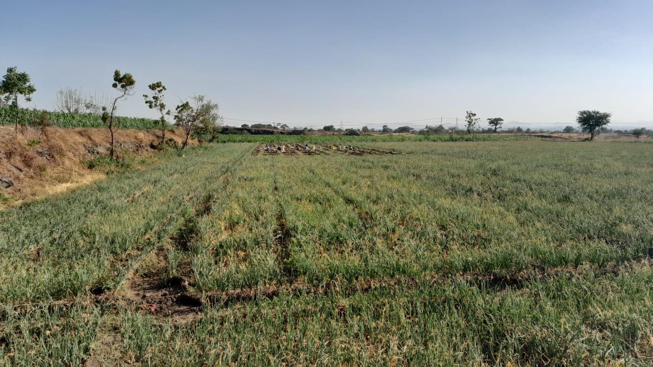 Maharashtra Dumps NA Permits for Industry