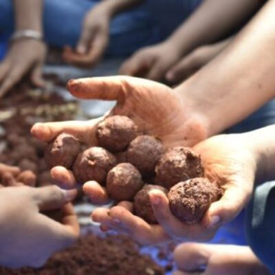 Navi Mumbai to Open Seed Collection Centres for 1 Lakh Seedballs
