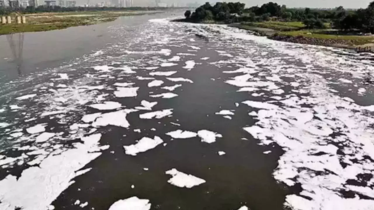 Yamuna River Faces Worst Pollution in Five Years