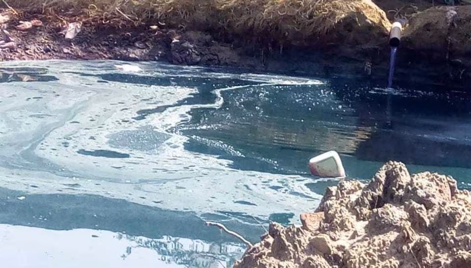 NGT directs panel to probe illegal salt pits and borewells obstructing Luni river natural flow in Rann of Kutch