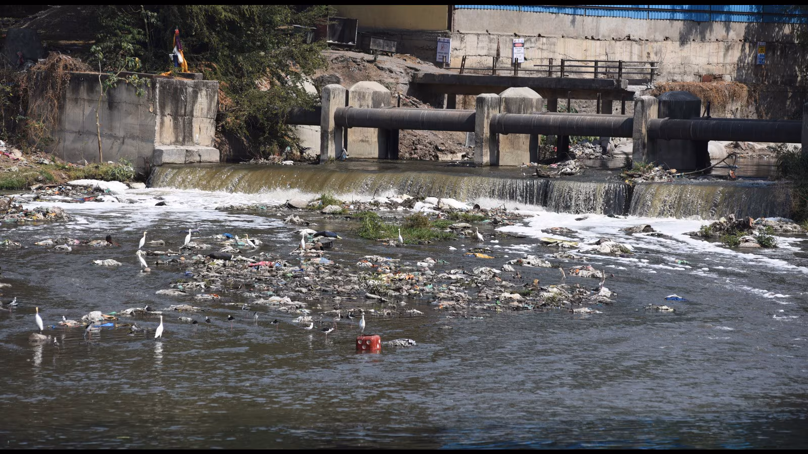Untreated Sewage Pollutes Pune Water, Residents Demand Urgent Action