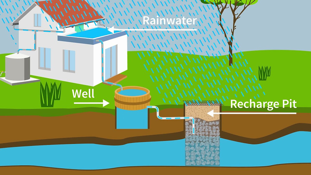 Bengaluru Rainwater Recharge Plan Gains Momentum, But Experts Say More is Needed