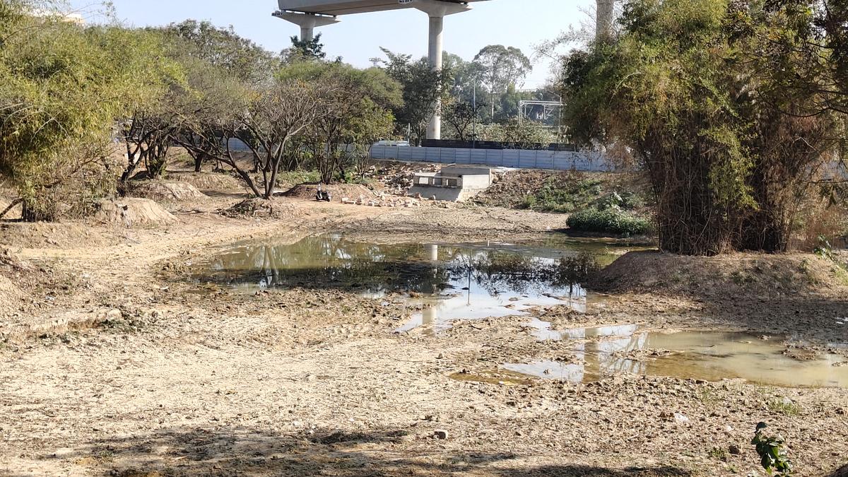 Bengaluru Residents of Kasturi Nagar Revive Neglected B. Channasandra Lake