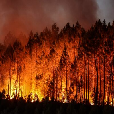 Wildfire Analysis in India Needs Urgent Attention