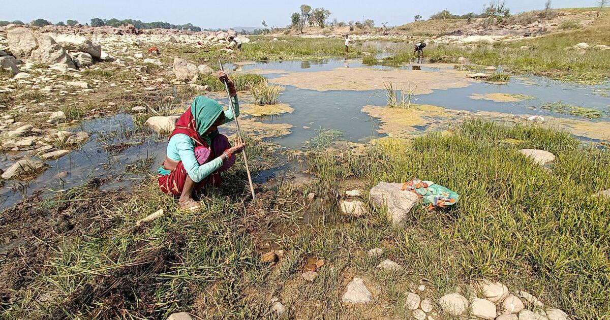 Tribes of India Confront Climate Crisis