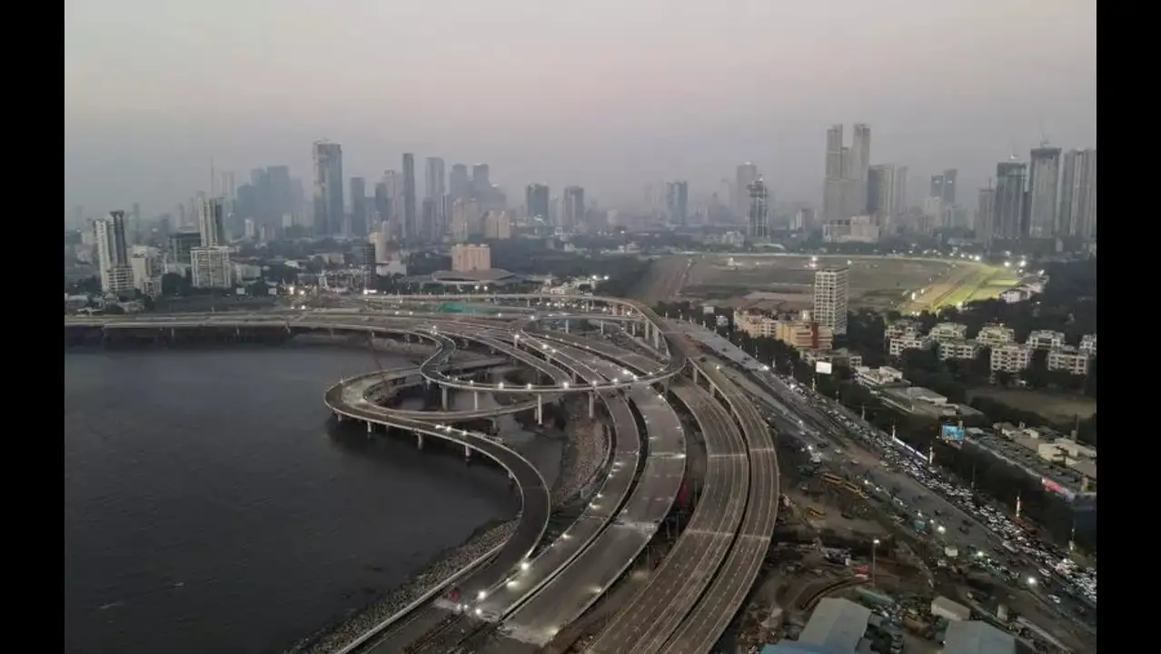 9000 Mangroves to Be Cut for Mumbai Coastal Road