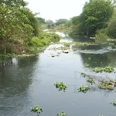 Rivers in Odisha Struggle to Stay Clean