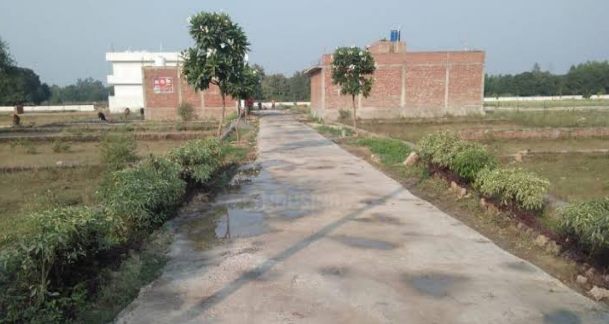 Lucknow plots plant-powered cooling zones