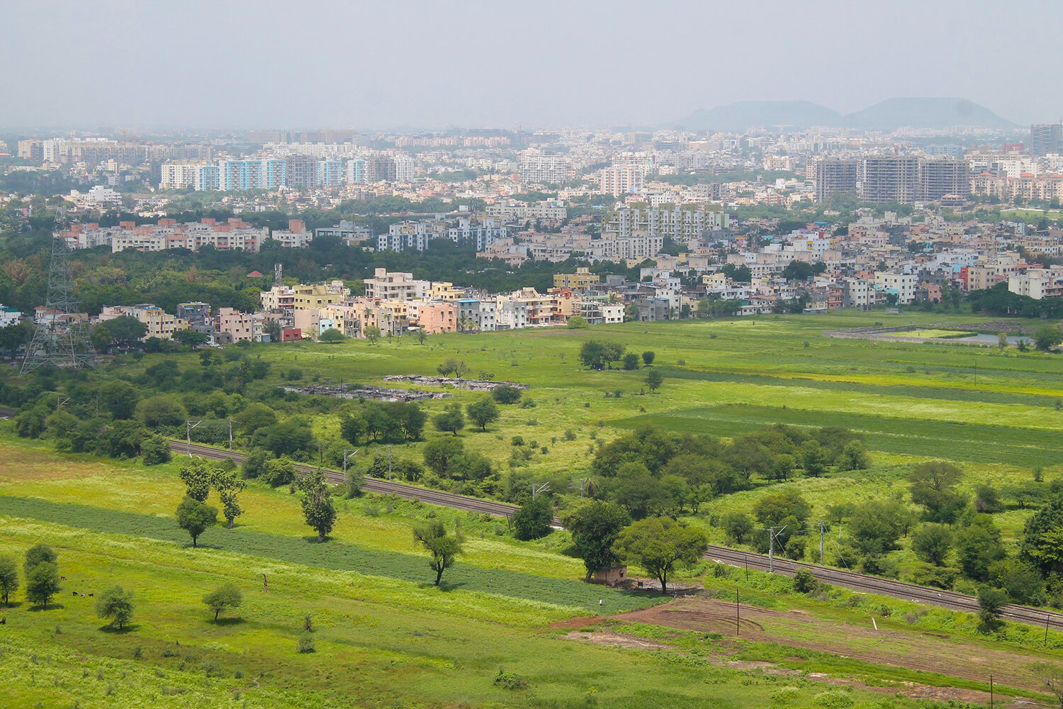 Pune to Replant Trees on Rented Land in City Hills