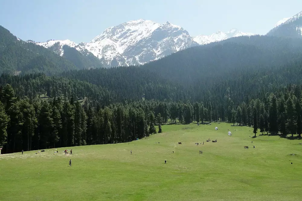 Tourists Return to Pahalgam After Attack, Resilient Spirit Prevails