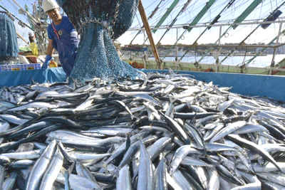 India Eyes 18 Bn USD Seafood Exports by 2030