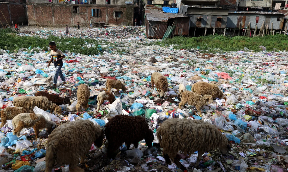 Africa Plastic Ban Risks Manufacturing Collapse Warns PAMA