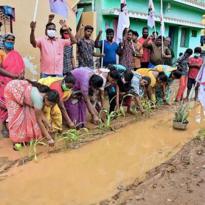 Tamil Nadu Coimbatore Residents Use Tree Planting to Protest Roads