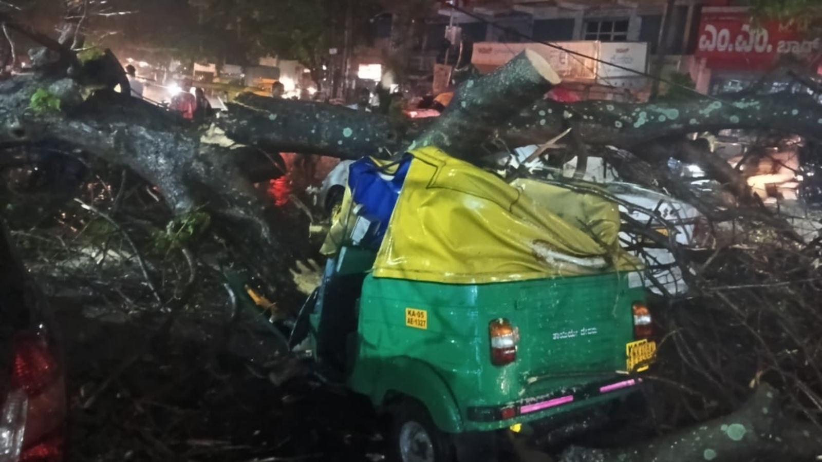 BBMP Urges Public to Avoid Trees During Storms After Auto Driver Killed