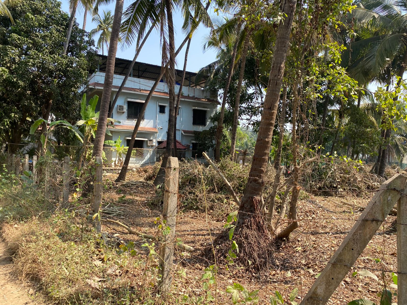 Majhe Van to Restore 338 Acres in Alibag