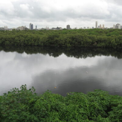 Mithi River Desilting Scam Exposes BMC's Oversight