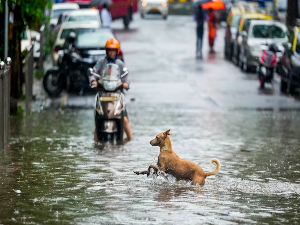 Mumbai Faces Earliest Monsoon in 75 Years Severe Flooding Disrupts City