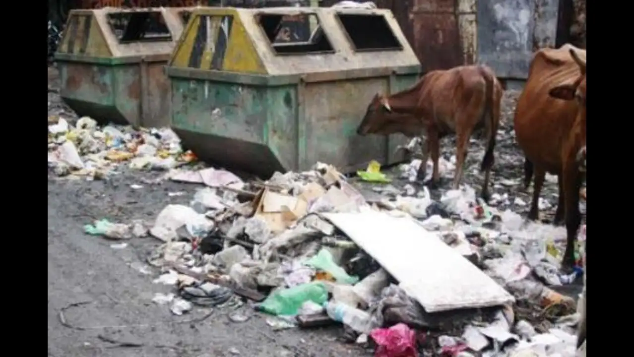 Punawale Depot Scrapped 17 Years PCMC Drops For Green Urban Growth