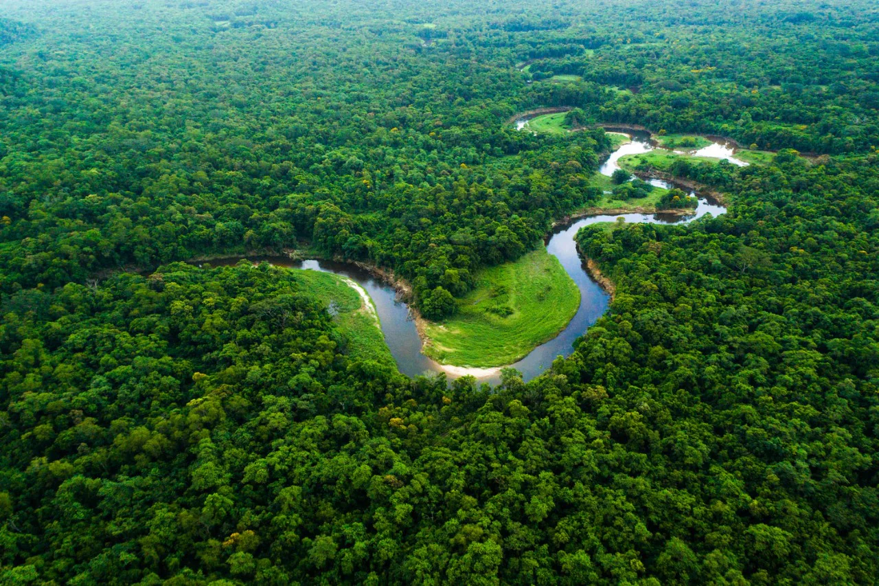 Uttar Pradesh Mini Forests Tackle Urban Heat Island Effect