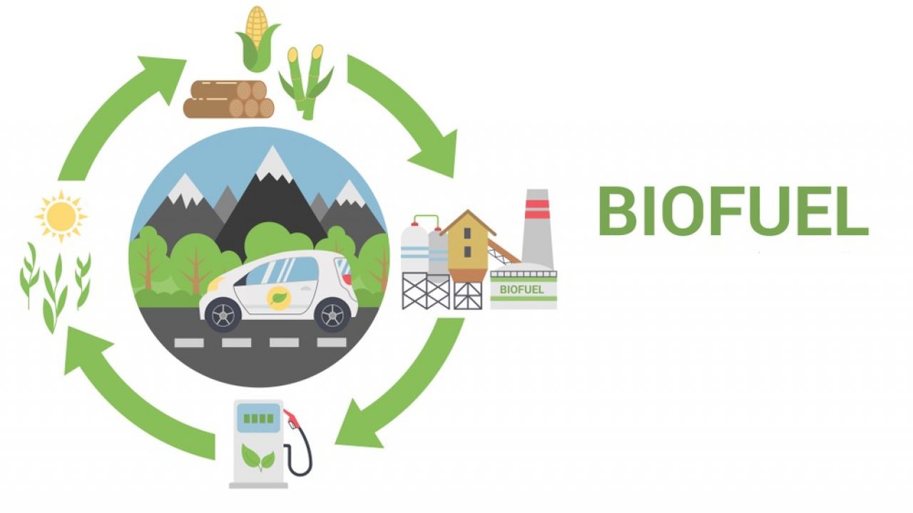 India Eyes Biofuel Push to Boost Farm Income