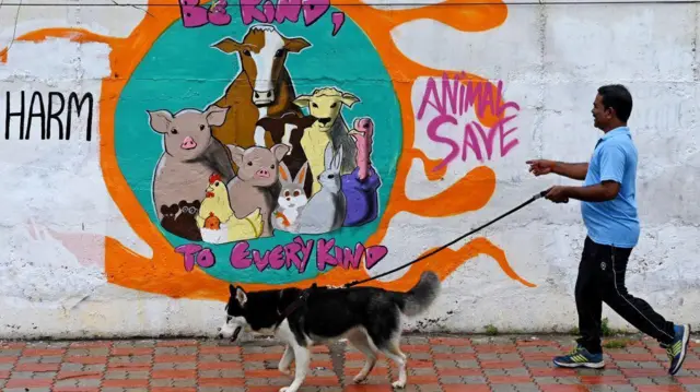 Worli man punished for ignoring pet safety norms