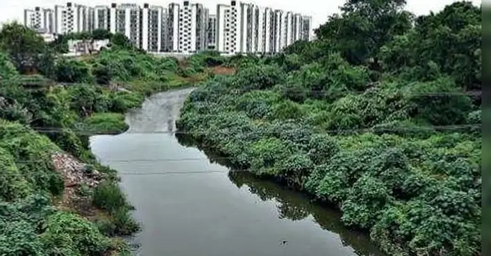 Gujarat Drives Clear Rivers of Illegal Structures