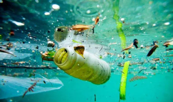 India and EU Join Forces for Marine Pollution Green Hydrogen Research