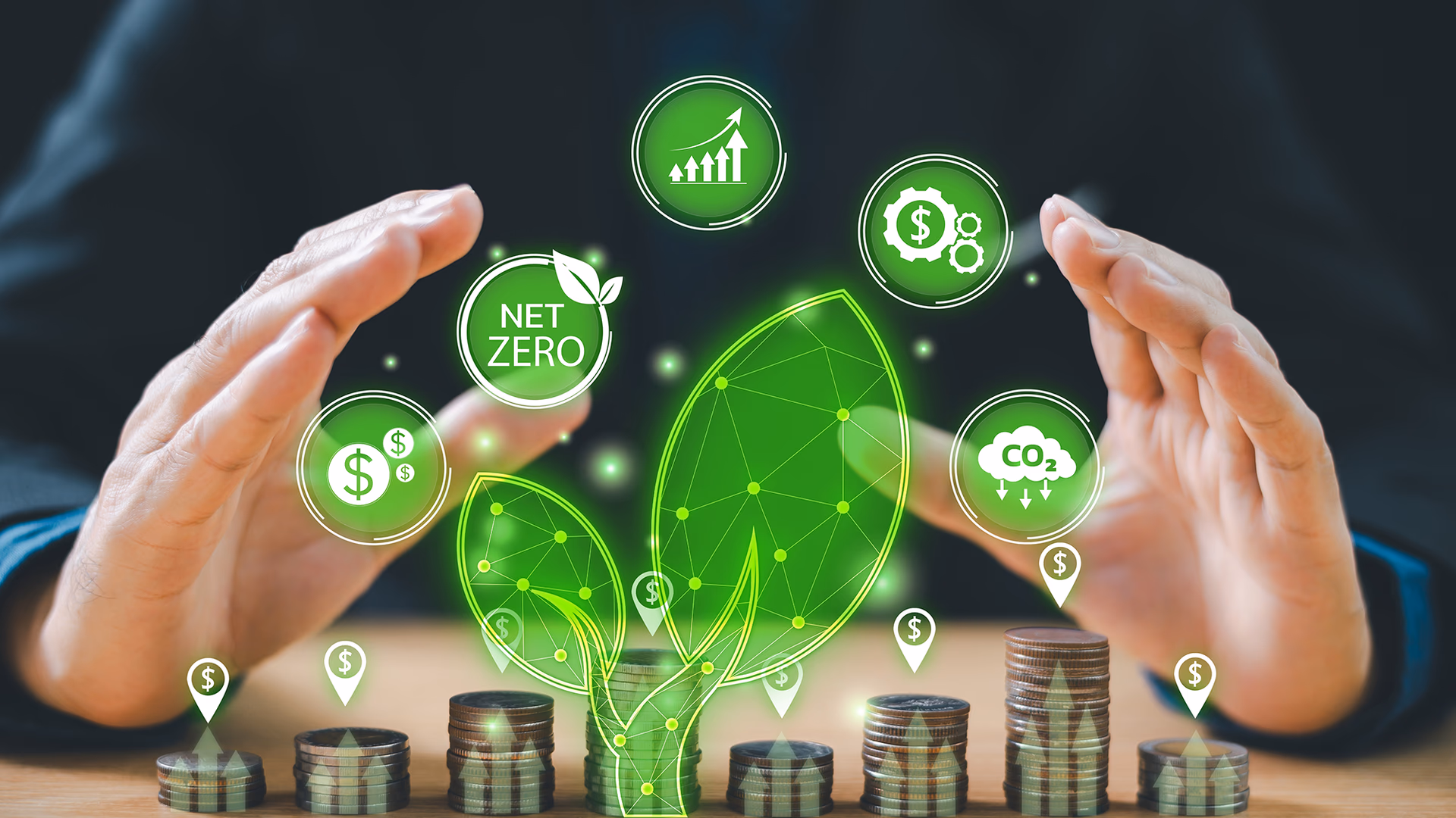 India Needs Blended Finance for Climate Goals