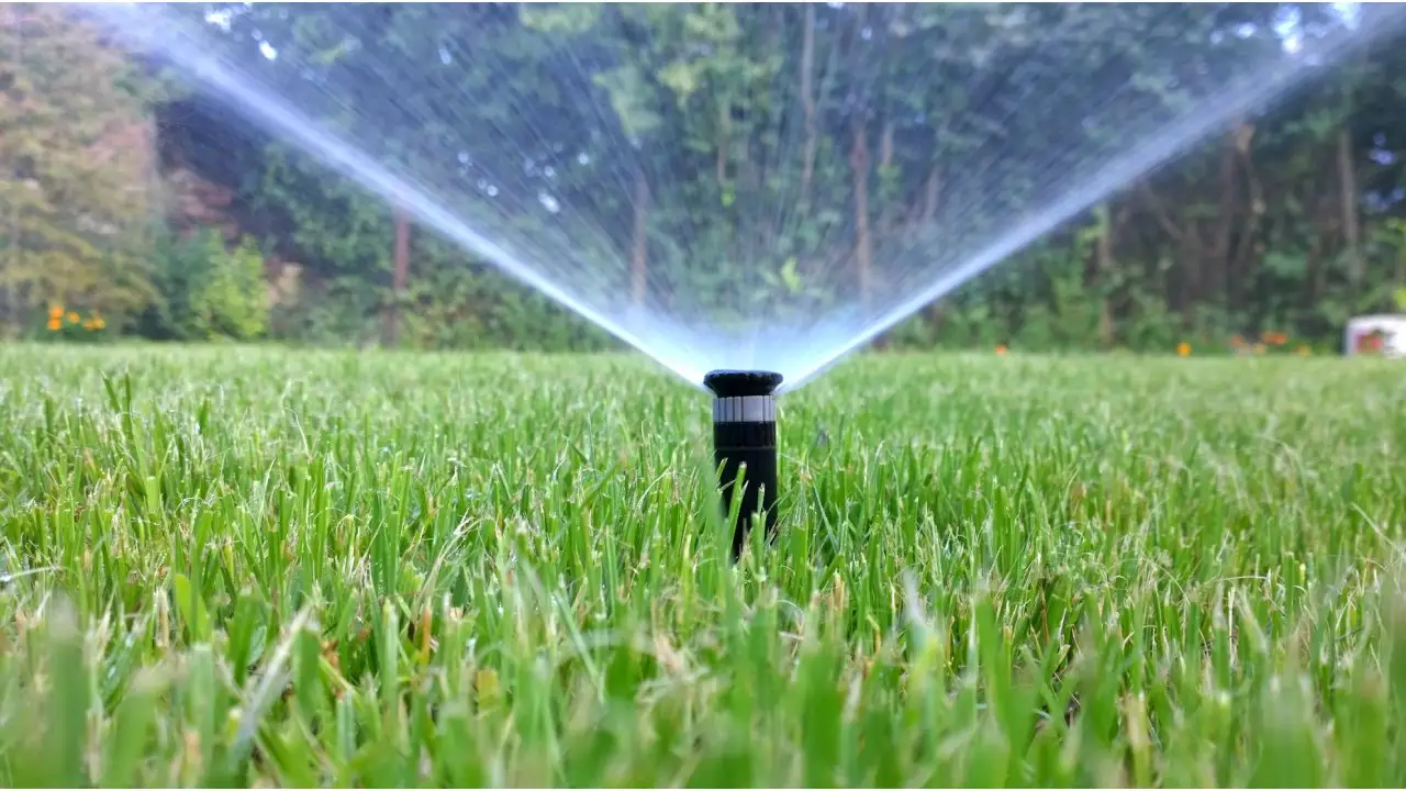 Delhi Gears Up for 1000 Sprinklers