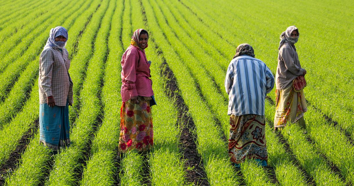Scientists Urged To Boost Seeds And Natural Farming For Economic Growth