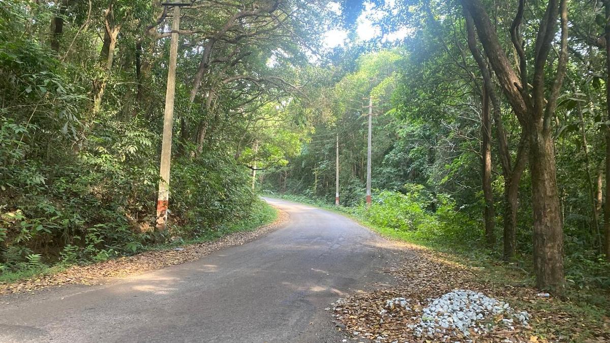 Karnataka seeks new Goa-Tamnar route through Western Ghats Forest