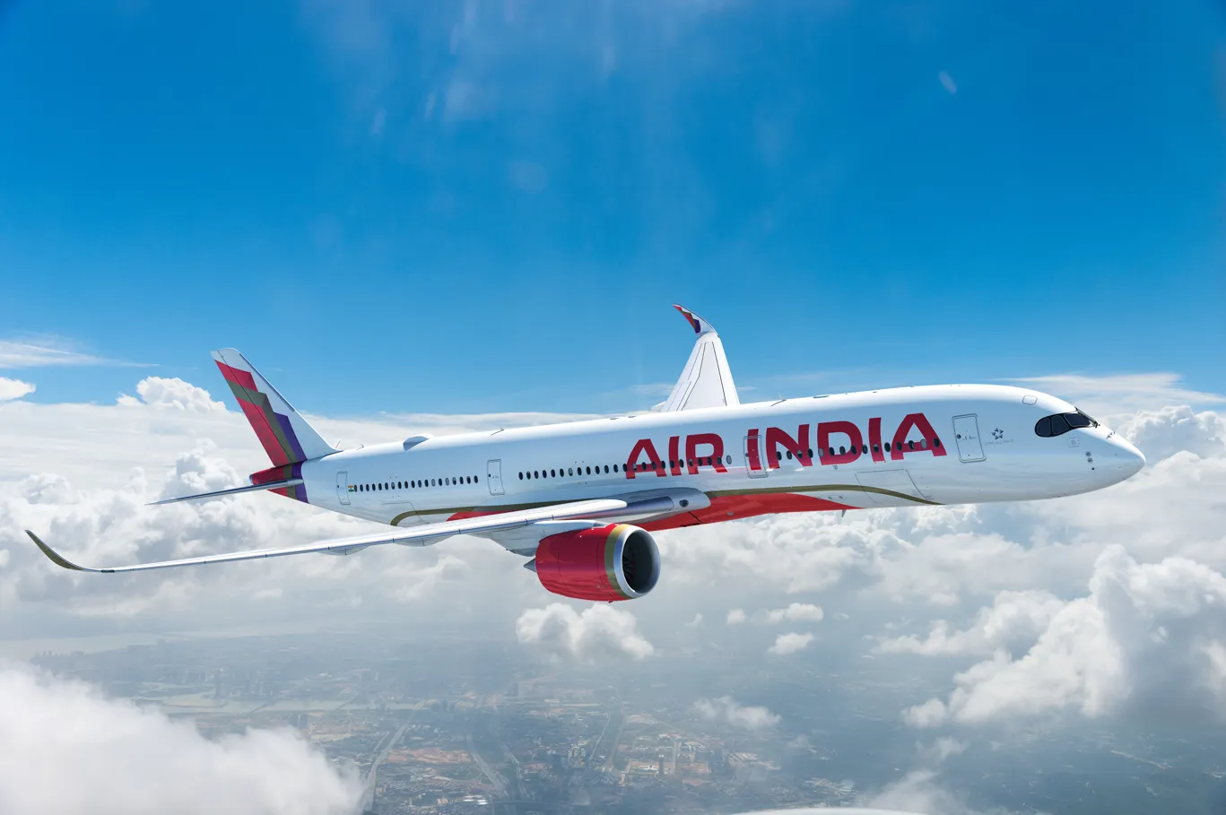 UN expert denied entry to India’s air crash investigation