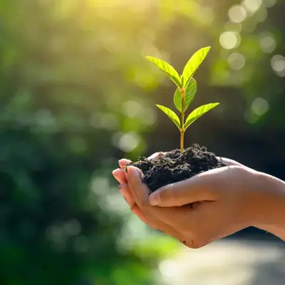Hyderabad GHMC Launches Massive Tree Plantation Drive For Greener City