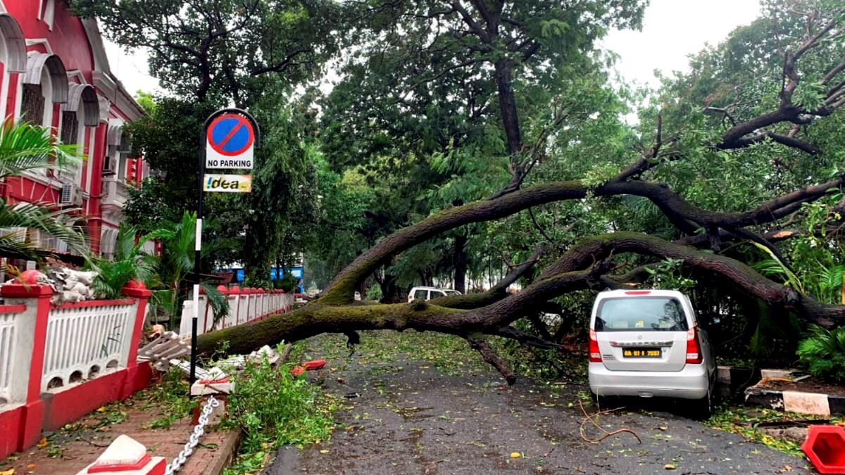 Goa Hit by Heavy Rains, Trees Block Roads