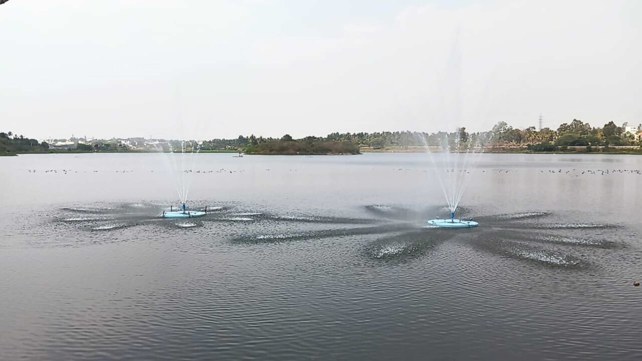 Bengaluru River Project to Revive Arkavathi