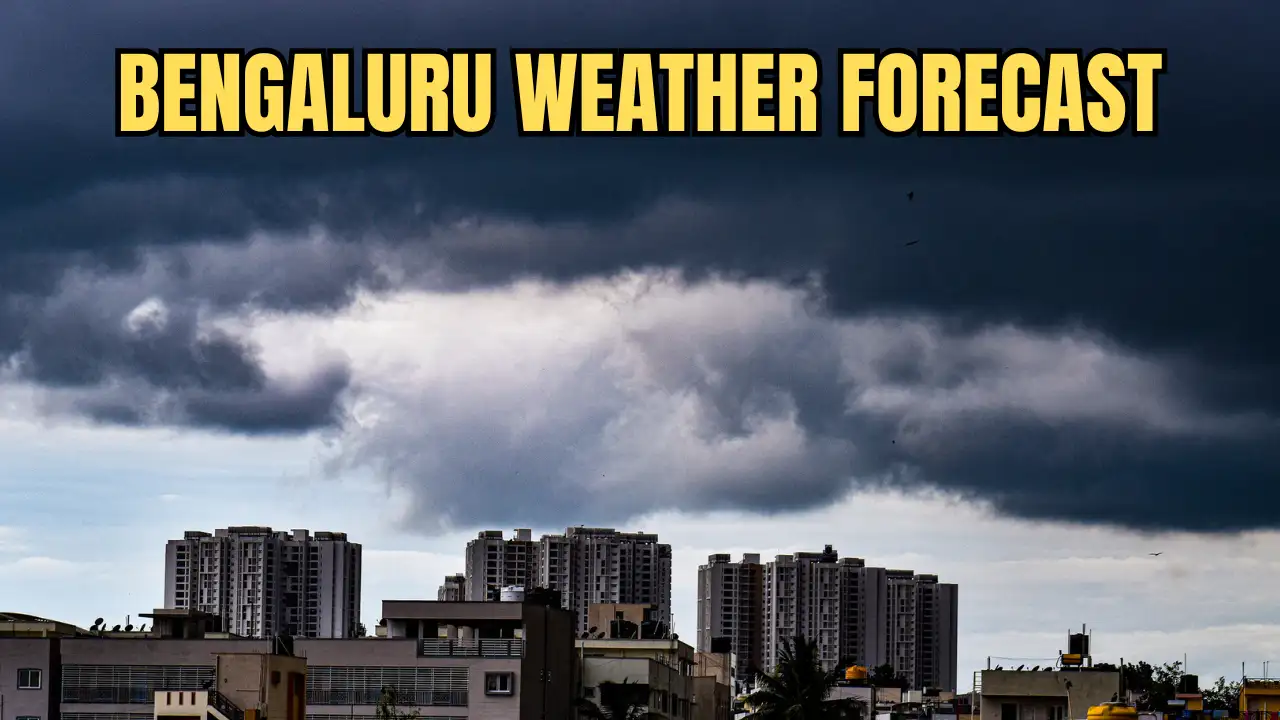 Bengaluru On Yellow Alert As IMD Predicts Week Of Rain And Thunderstorms