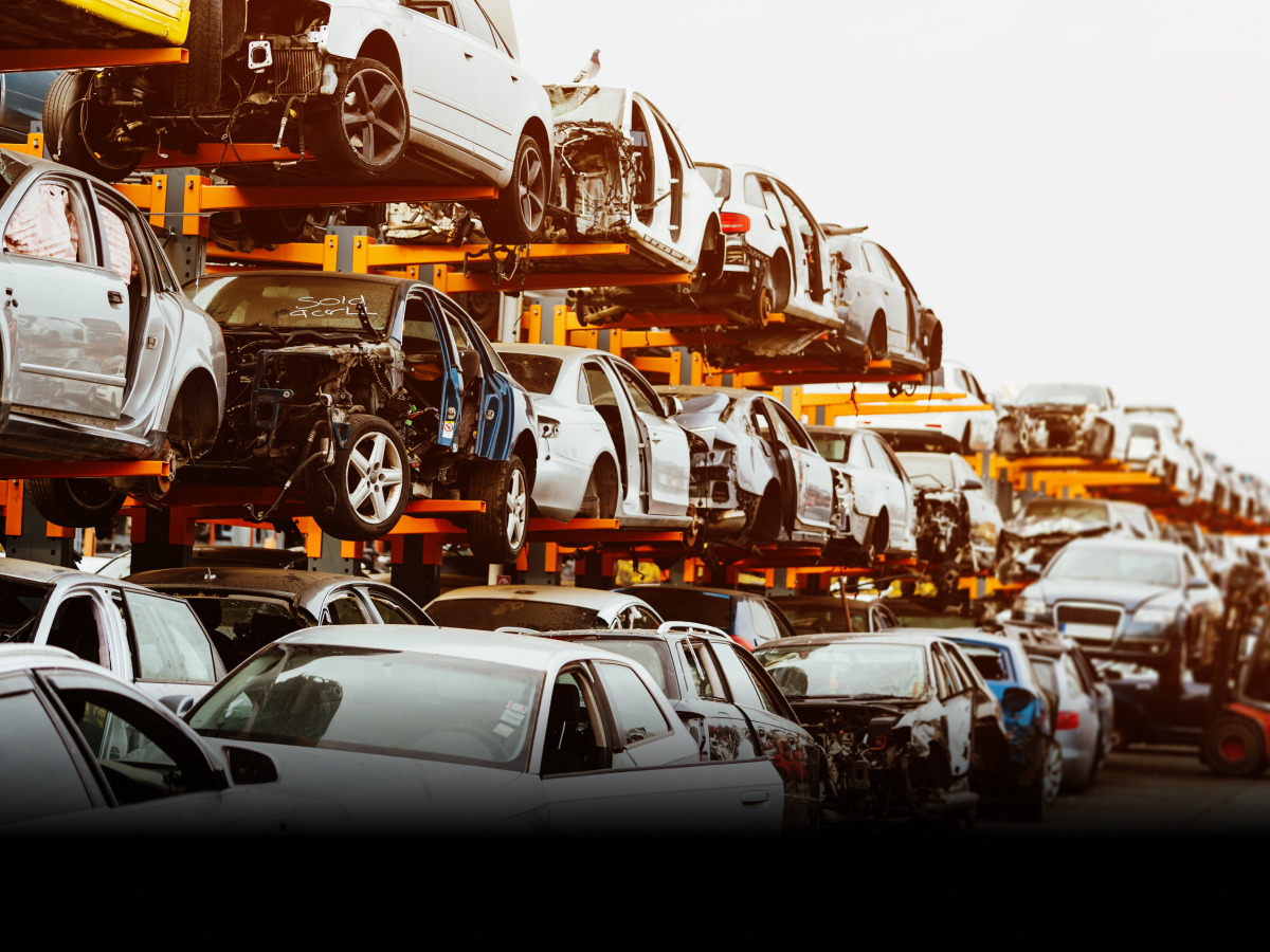 Delhi Urged to Prioritise Pollution Tests Over Vehicle Age in Scrappage Rules