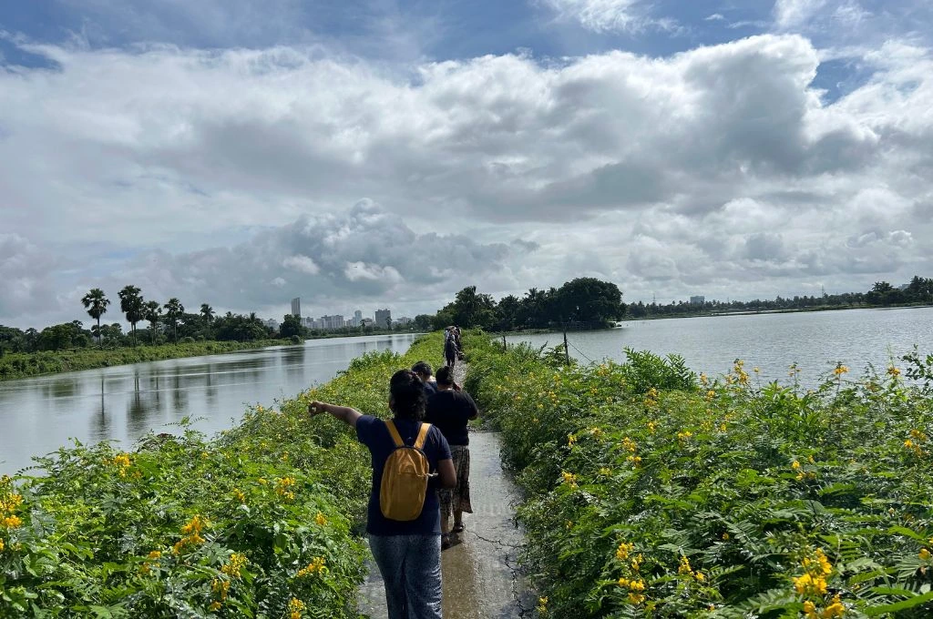 Kolkata Plans Wetland Restoration to Protect Ecosystem and Promote City Heritage