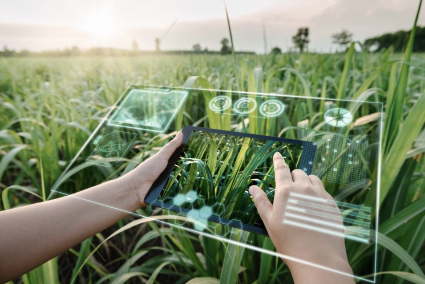 India’s Smart Farming Surge Brings AI and Drones to Tackle Climate and Food Challenges