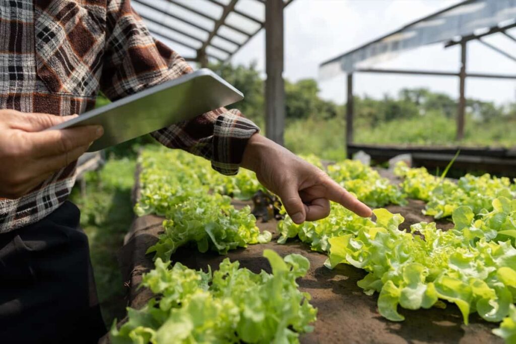 Hyderabad agri-tech hub to boost mechanised eco-friendly farming models