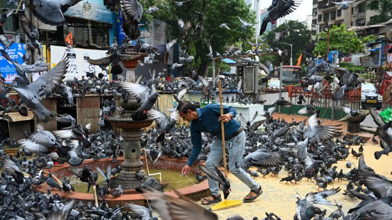 Mumbai Penalises 107 Offenders After Kabootarkhana Closure Across 49 Locations