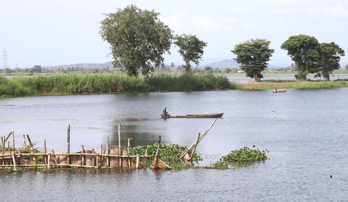 Nuvem Farmers Compensated For Protecting Fields From Saline Water Intrusion