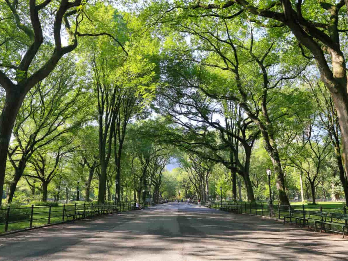 Green Spaces in Delhi Not Ready for Rising Heat Levels