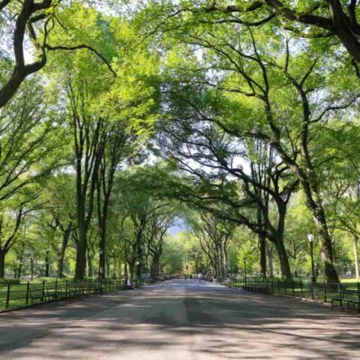 Green Spaces in Delhi Not Ready for Rising Heat Levels