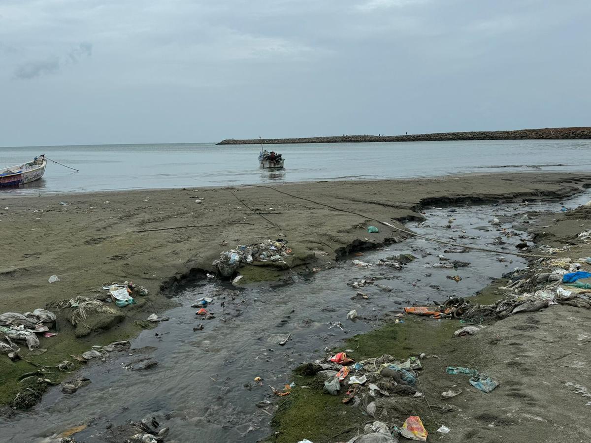 Mumbai Tribunal Cracks Down on Konkan Towns for Marine Sewage Pollution