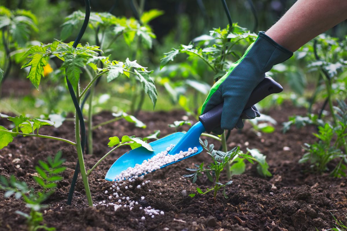 Lucknow Monthly Green Chaupals to Boost Village Plantation Efforts