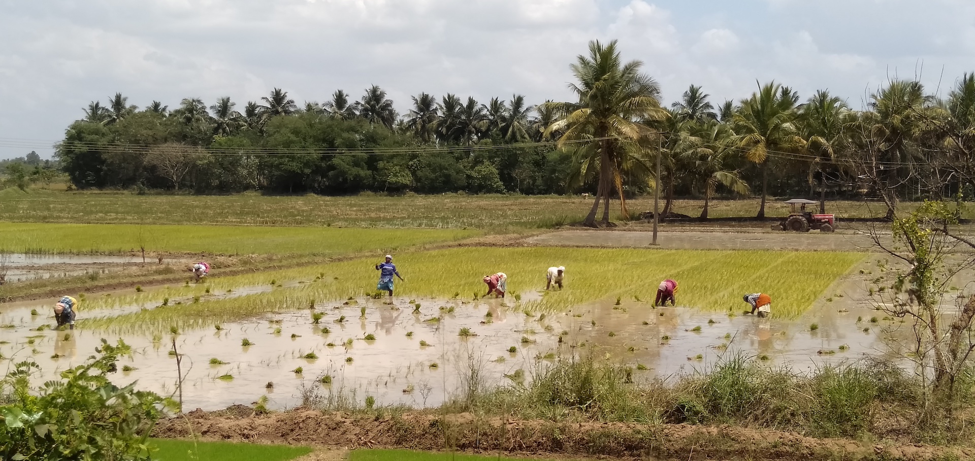 Ariyalur farmers raise concerns over loss of power supply support