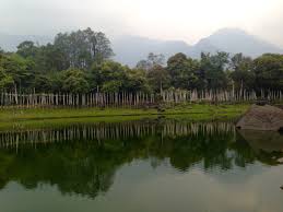 Sikkim launches Kolkata outreach to attract sustainable tourism and renewable investments