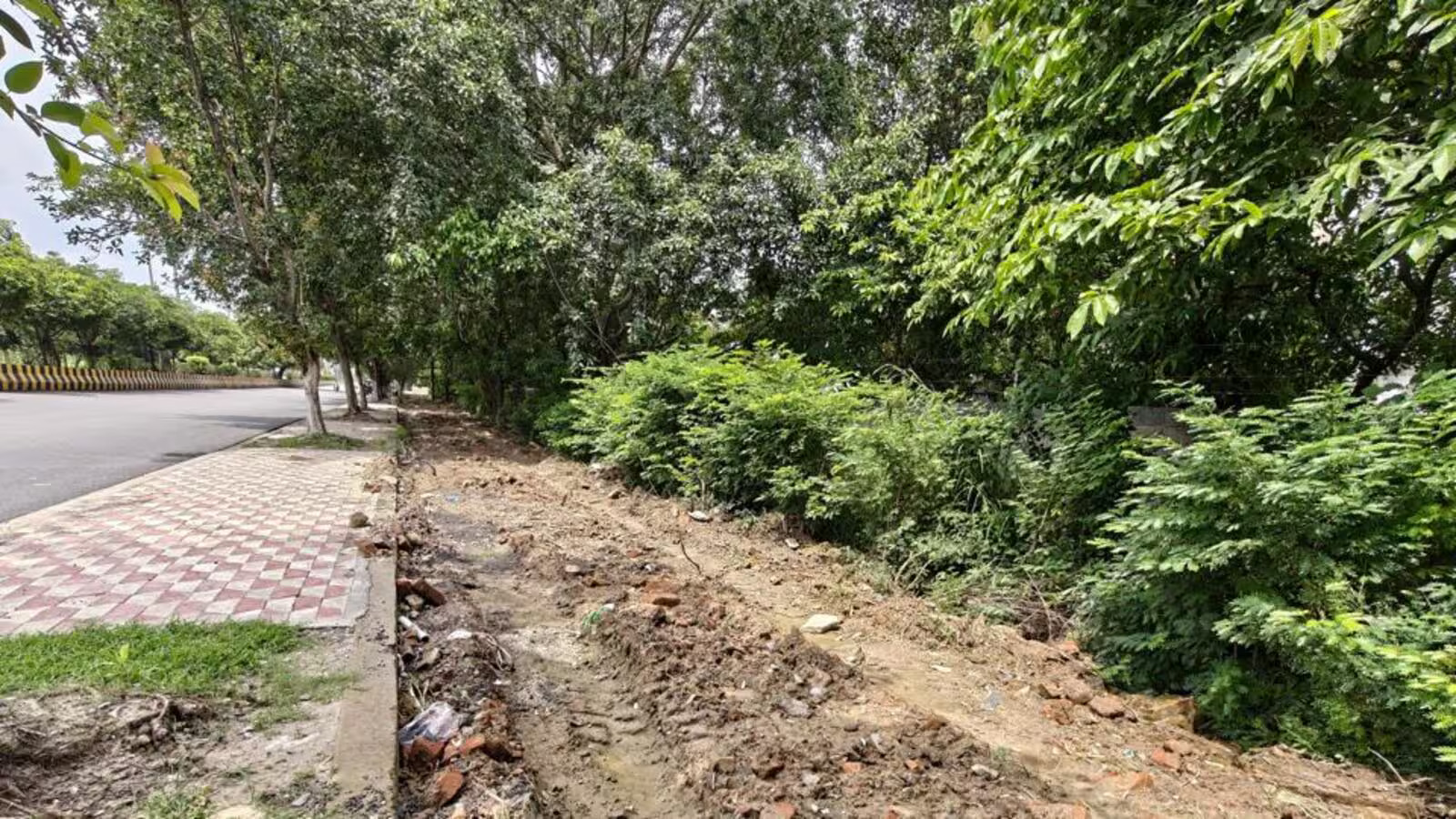 Noida Residents Struggle as Dug-Up Roads and Green Zones Left Unrestored